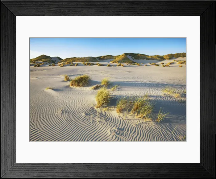 Framed Print : Dune landscape und dune grasses - Germany, Schleswig-Holstein, North Frisia, Amrum, Kniepsand, Wittdün - Schleswig-Holstein Wadden Sea National Park, North Frisian Islands Framed Print : Dune landscape und dune grasses - Germany, Schleswig-Holstein, North Frisia, Amrum, Kniepsand, Wittdün - Schleswig-Holstein Wadden Sea National Park, North Frisian Islands