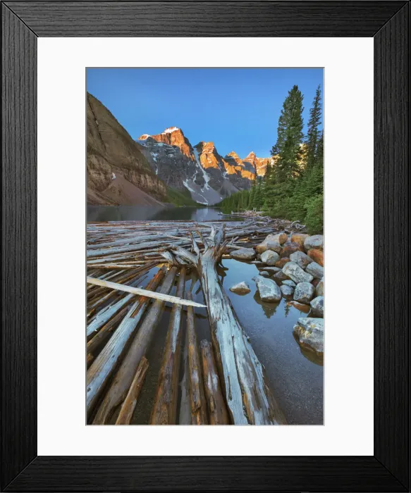 Framed Print : Alluvial driftwood at sea - Canada, Alberta, Banff National Park Framed Print : Alluvial driftwood at sea - Canada, Alberta, Banff National Park