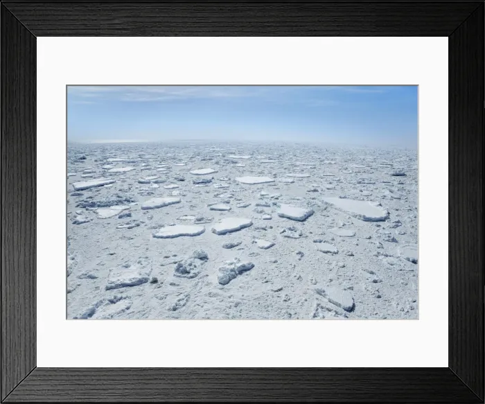 Framed Print : Drift ice in Weddell Sea - Antarctica, Weddell Sea, between Peninsula and Antarctica Framed Print : Drift ice in Weddell Sea - Antarctica, Weddell Sea, between Peninsula and Antarctica