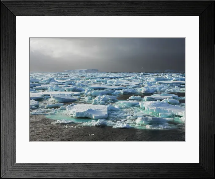 Framed Print : Drift ice near South Thule - South Sandwich Islands, South Thule Framed Print : Drift ice near South Thule - South Sandwich Islands, South Thule