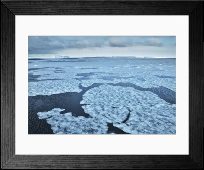 Framed Print : Drift ice and tabular icebergs in Weddell Sea - Antarctica, Weddell Sea, Queen Maud Land, Ekstrom Ice Shelf, Atka Bay Framed Print : Drift ice and tabular icebergs in Weddell Sea - Antarctica, Weddell Sea, Queen Maud Land, Ekstrom Ice Shelf, Atka Bay