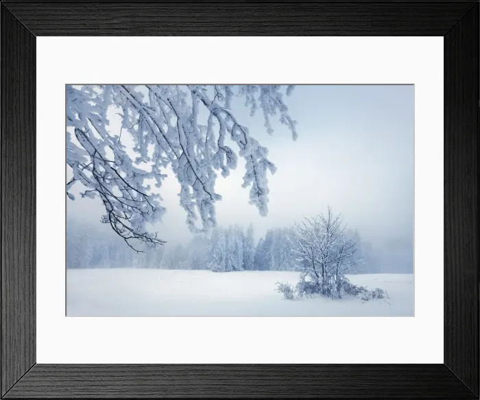 Framed Print : Winter landscape with snow covered trees - Germany, Bavaria, Upper Bavaria Framed Print : Winter landscape with snow covered trees - Germany, Bavaria, Upper Bavaria