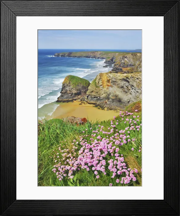 Framed Print : Cliff landscape with thrifts at Bedruthan Steps - United Kingdom, England, Cornwall Framed Print : Cliff landscape with thrifts at Bedruthan Steps - United Kingdom, England, Cornwall