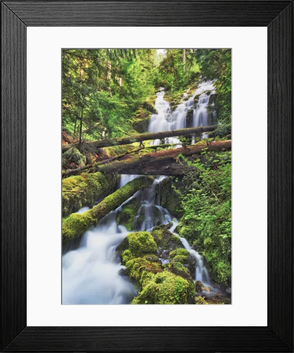 Framed Print : Mountain brook with deadwood - USA, Oregon, Lane, Upper Proxy Falls - Cascade Range Framed Print : Mountain brook with deadwood - USA, Oregon, Lane, Upper Proxy Falls - Cascade Range