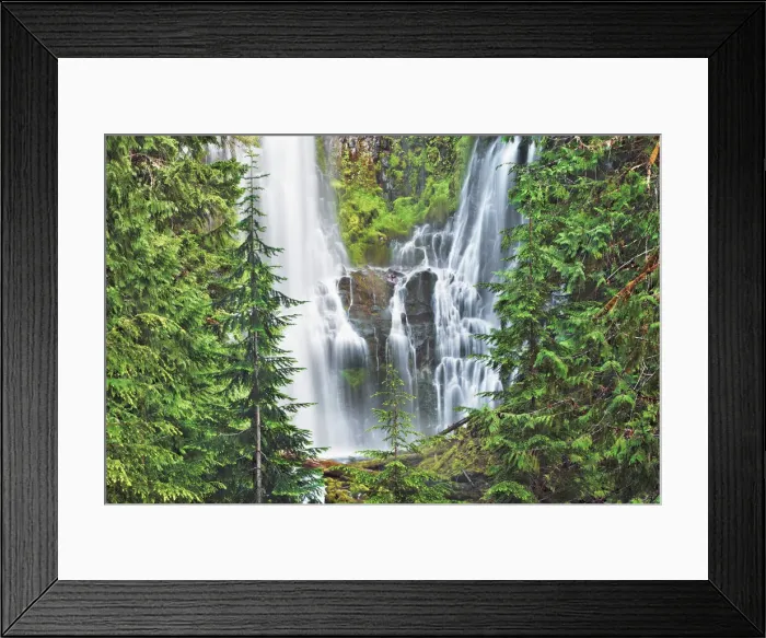 Framed Print : Waterfall Lower Proxy Falls - USA, Oregon, Lane, Lower Proxy Falls - Cascade Range Framed Print : Waterfall Lower Proxy Falls - USA, Oregon, Lane, Lower Proxy Falls - Cascade Range