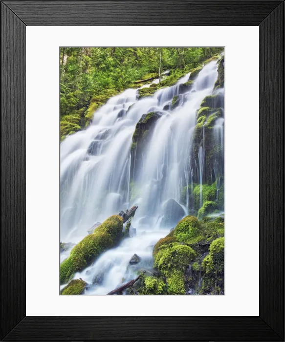 Framed Print : Waterfall Upper Proxy Falls - USA, Oregon, Lane, Upper Proxy Falls - Cascade Range Framed Print : Waterfall Upper Proxy Falls - USA, Oregon, Lane, Upper Proxy Falls - Cascade Range