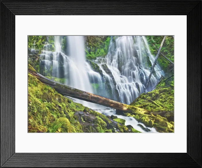 Framed Print : Waterfall Lower Proxy Falls - USA, Oregon, Lane, Lower Proxy Falls - Cascade Range Framed Print : Waterfall Lower Proxy Falls - USA, Oregon, Lane, Lower Proxy Falls - Cascade Range