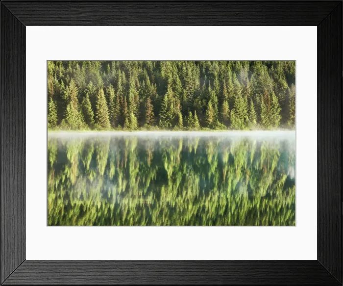 Framed Print : Water impression mirroring of forest in Trillium Lake - USA, Oregon, Clackamas Framed Print : Water impression mirroring of forest in Trillium Lake - USA, Oregon, Clackamas