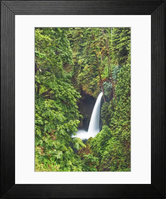 Framed Print : Waterfall Metlako Falls in Pacific rainforest - USA, Oregon, Multnomah Framed Print : Waterfall Metlako Falls in Pacific rainforest - USA, Oregon, Multnomah