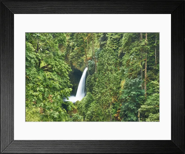 Framed Print : Waterfall Metlako Falls in Pacific rainforest - USA, Oregon, Multnomah Framed Print : Waterfall Metlako Falls in Pacific rainforest - USA, Oregon, Multnomah