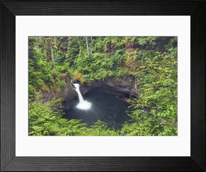 Framed Print : Waterfall Punchball Falls in Pacific rainforest - USA, Oregon, Hood River, Eagle Creek Framed Print : Waterfall Punchball Falls in Pacific rainforest - USA, Oregon, Hood River, Eagle Creek