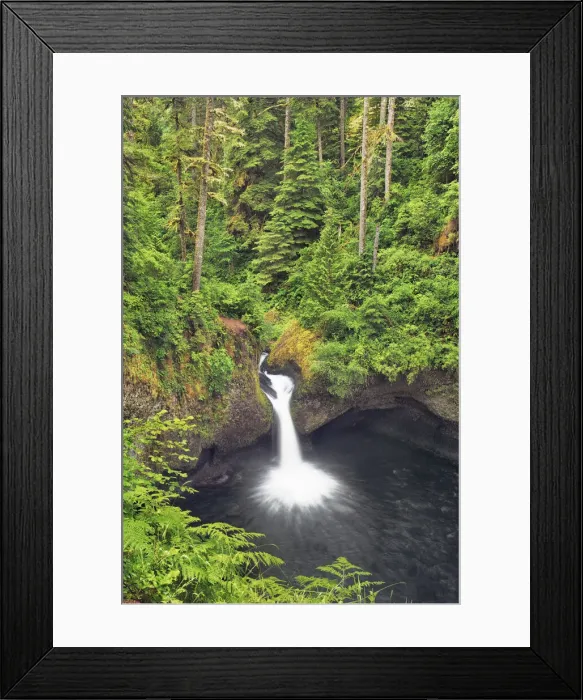 Framed Print : Waterfall Punchball Falls in Pacific rainforest - USA, Oregon, Hood River, Eagle Creek Framed Print : Waterfall Punchball Falls in Pacific rainforest - USA, Oregon, Hood River, Eagle Creek