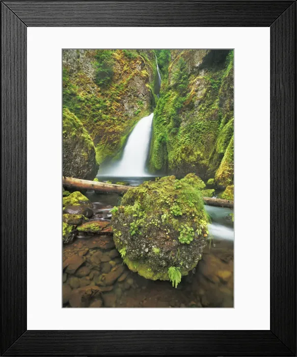 Framed Print : Waterfall Wahclella Falls in Pacific rainforest - USA, Oregon, Multnomah, Tanner Creek Framed Print : Waterfall Wahclella Falls in Pacific rainforest - USA, Oregon, Multnomah, Tanner Creek