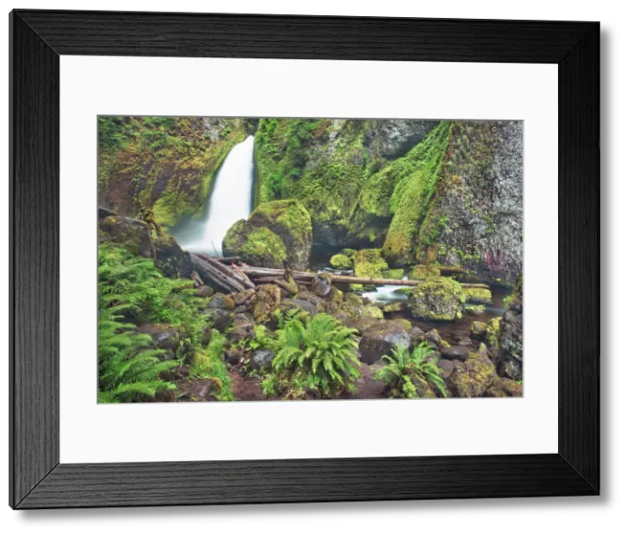 Framed Print : Waterfall Wahclella Falls in Pacific rainforest - USA, Oregon, Multnomah, Tanner Creek Framed Print : Waterfall Wahclella Falls in Pacific rainforest - USA, Oregon, Multnomah, Tanner Creek
