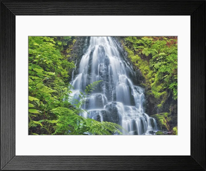 Framed Print : Waterfall Fairy Falls in Pacific rainforest - USA, Oregon, Multnomah Framed Print : Waterfall Fairy Falls in Pacific rainforest - USA, Oregon, Multnomah