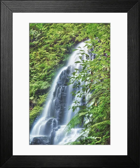 Framed Print : Waterfall Fairy Falls in Pacific rainforest - USA, Oregon, Multnomah Framed Print : Waterfall Fairy Falls in Pacific rainforest - USA, Oregon, Multnomah
