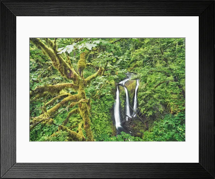 Framed Print : Waterfall Triple Falls in Pacific rainforest - USA, Oregon, Multnomah, Oneonta Creek Framed Print : Waterfall Triple Falls in Pacific rainforest - USA, Oregon, Multnomah, Oneonta Creek