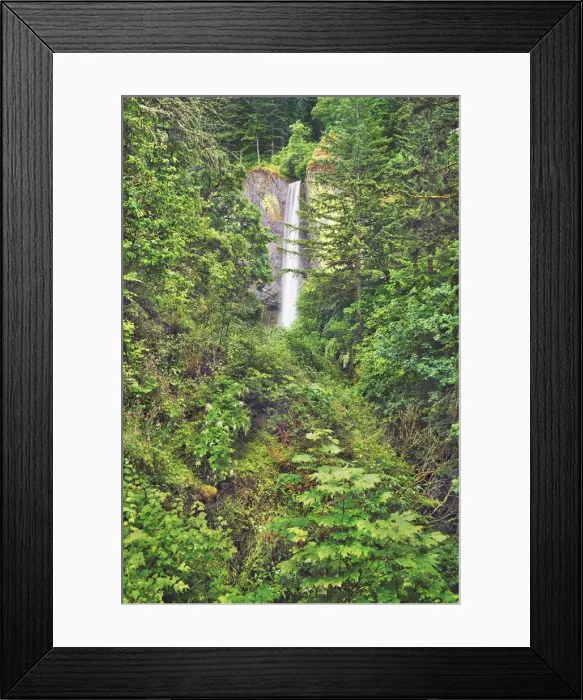 Framed Print : Waterfall Latourell Falls in Pacific rainforest - USA, Oregon, Multnomah Framed Print : Waterfall Latourell Falls in Pacific rainforest - USA, Oregon, Multnomah
