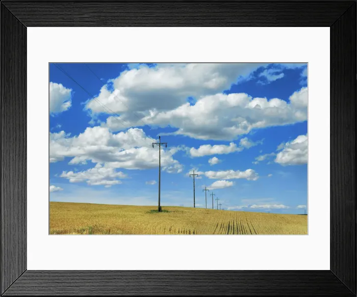 Framed Print : Electric wire through corn field - USA, Oregon, Sherman, Grass Valley, east of Framed Print : Electric wire through corn field - USA, Oregon, Sherman, Grass Valley, east of