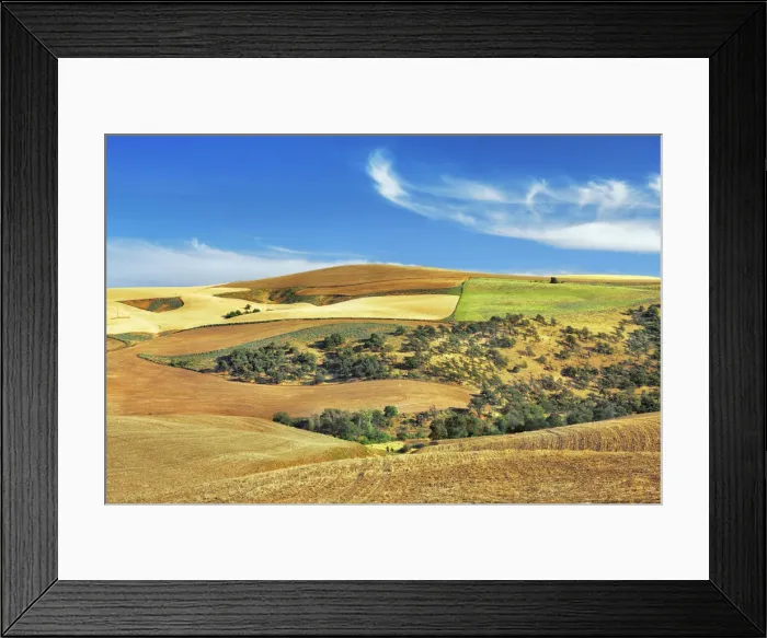 Framed Print : Cultural landscape with corn fields - USA, Oregon, Sherman, The Dalles, southwest of Framed Print : Cultural landscape with corn fields - USA, Oregon, Sherman, The Dalles, southwest of