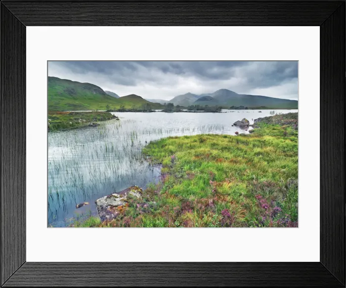 Framed Print : Moorland at Rannoch Moor - United Kingdom, Scotland, Argyll and Bute Framed Print : Moorland at Rannoch Moor - United Kingdom, Scotland, Argyll and Bute