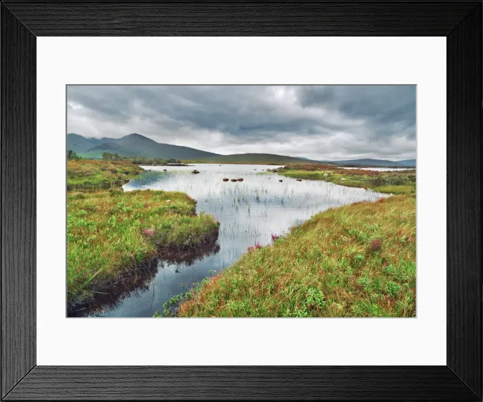 Framed Print : Moorland at Rannoch Moor - United Kingdom, Scotland, Argyll and Bute Framed Print : Moorland at Rannoch Moor - United Kingdom, Scotland, Argyll and Bute