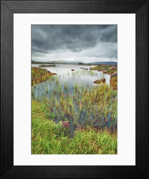 Framed Print : Moorland at Rannoch Moor - United Kingdom, Scotland, Argyll and Bute Framed Print : Moorland at Rannoch Moor - United Kingdom, Scotland, Argyll and Bute