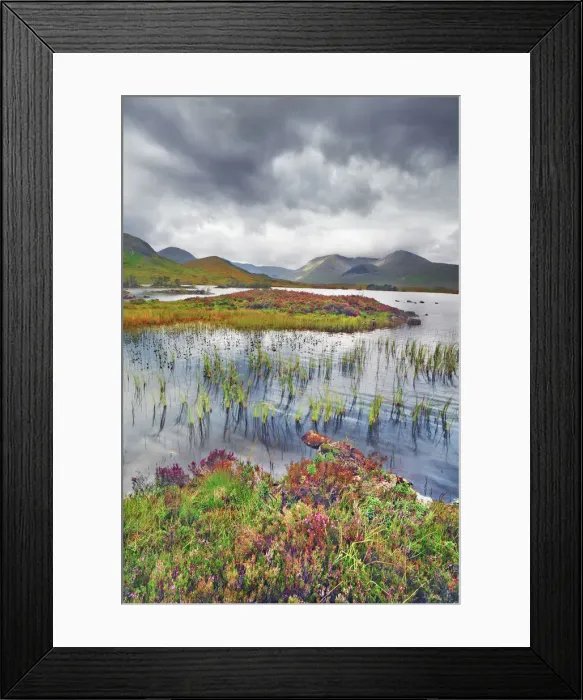 Framed Print : Moorland at Rannoch Moor - United Kingdom, Scotland, Argyll and Bute Framed Print : Moorland at Rannoch Moor - United Kingdom, Scotland, Argyll and Bute