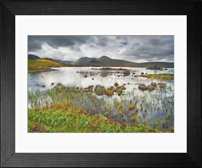 Framed Print : Moorland at Rannoch Moor - United Kingdom, Scotland, Argyll and Bute Framed Print : Moorland at Rannoch Moor - United Kingdom, Scotland, Argyll and Bute