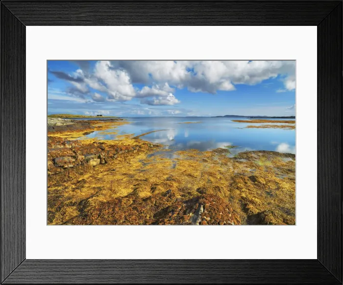 Framed Print : Beach landscape with bladder wrack on Berneray - United Kingdom, Scotland, Outer Hebrides Framed Print : Beach landscape with bladder wrack on Berneray - United Kingdom, Scotland, Outer Hebrides