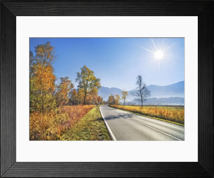 Framed Print : Countryside street and birches - Germany, Bavaria, Upper Bavaria Framed Print : Countryside street and birches - Germany, Bavaria, Upper Bavaria