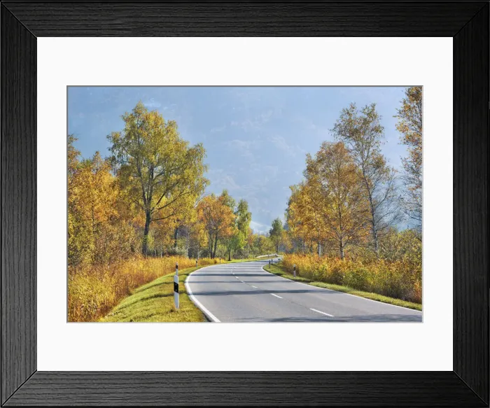 Framed Print : Countryside street and birches - Germany, Bavaria, Upper Bavaria Framed Print : Countryside street and birches - Germany, Bavaria, Upper Bavaria