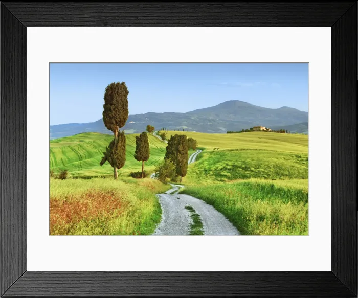 Framed Print : Tuscany landscape with cypresses - Italy, Tuscany, Siena, Val d Orcia, Pienza Framed Print : Tuscany landscape with cypresses - Italy, Tuscany, Siena, Val d Orcia, Pienza