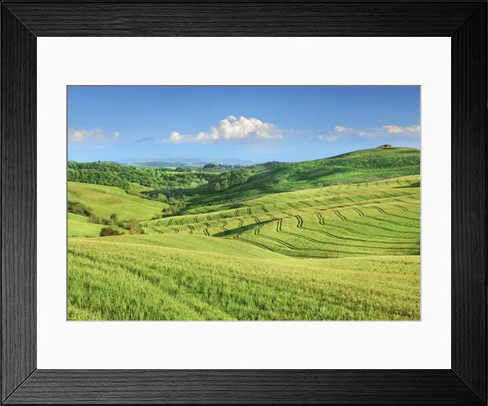 Framed Print : Tuscany landscape with corn fields - Italy, Tuscany, Siena, Crete, Asciano - San Giovanni Framed Print : Tuscany landscape with corn fields - Italy, Tuscany, Siena, Crete, Asciano - San Giovanni