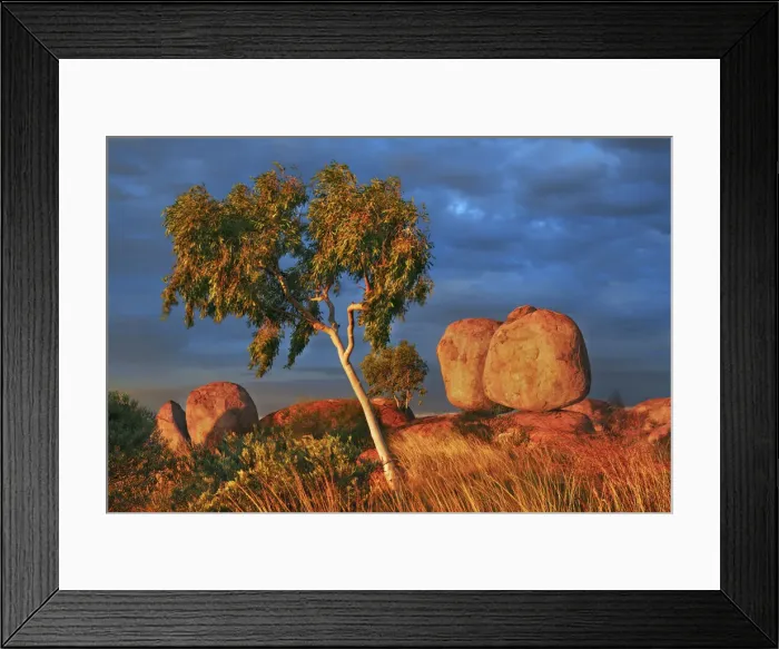 Framed Print : Rock formation at Devils Marbles with eucalyptus - Australia, Northern Territory Framed Print : Rock formation at Devils Marbles with eucalyptus - Australia, Northern Territory