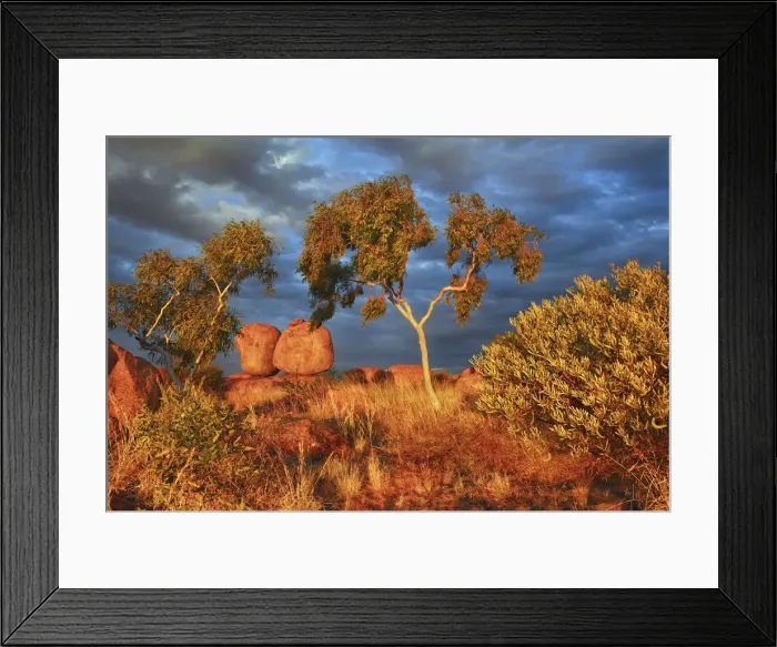 Framed Print : Rock formation at Devils Marbles with eucalyptus - Australia, Northern Territory
