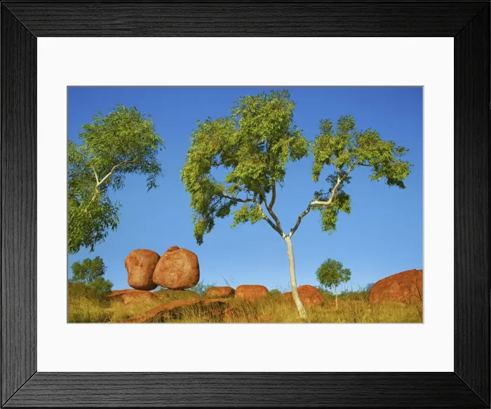 Framed Print : Rock formation at Devils Marbles with eucalyptus tree - Australia, Northern Territory Framed Print : Rock formation at Devils Marbles with eucalyptus tree - Australia, Northern Territory