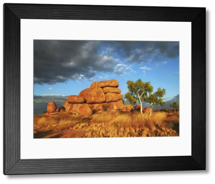 Framed Print : Rock formation at Devils Marbles with eucalyptus tree - Australia, Northern Territory Framed Print : Rock formation at Devils Marbles with eucalyptus tree - Australia, Northern Territory