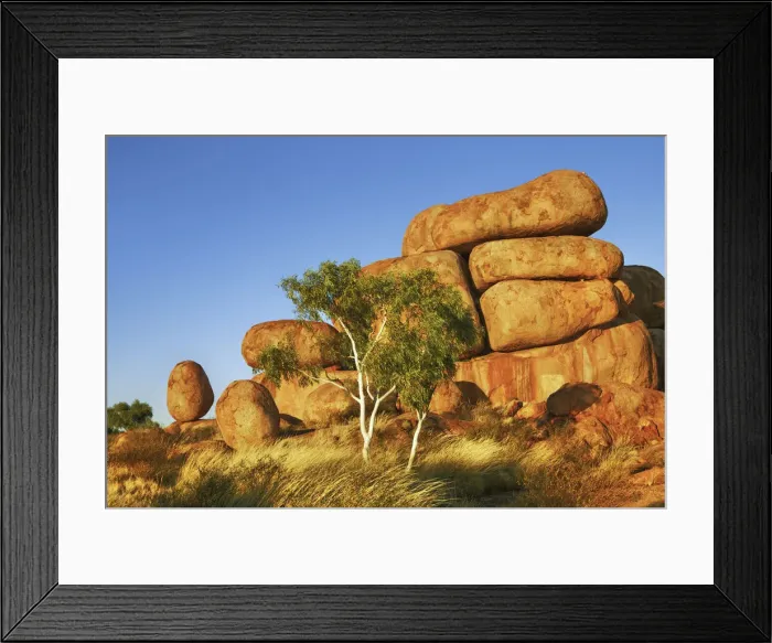 Framed Print : Rock formation at Devils Marbles with eucalyptus tree - Australia, Northern Territory Framed Print : Rock formation at Devils Marbles with eucalyptus tree - Australia, Northern Territory