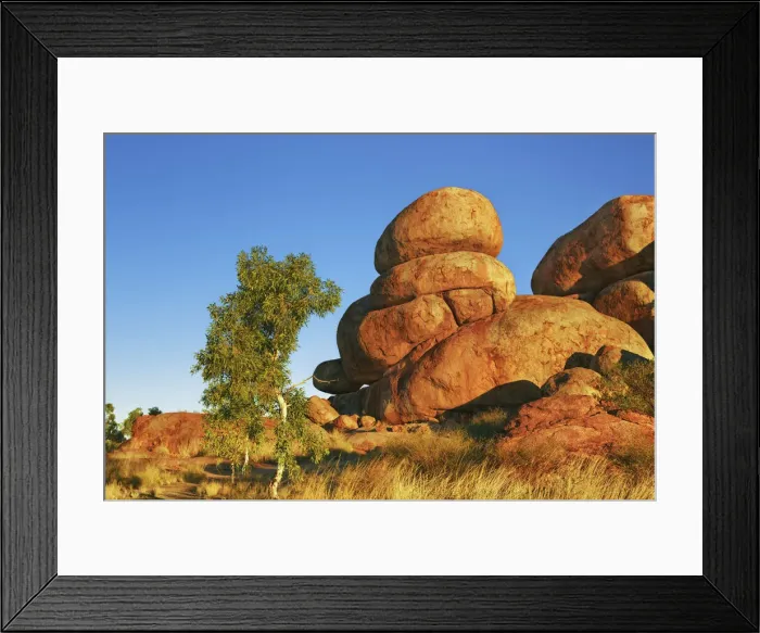 Framed Print : Rock formation at Devils Marbles with eucalyptus tree - Australia, Northern Territory Framed Print : Rock formation at Devils Marbles with eucalyptus tree - Australia, Northern Territory
