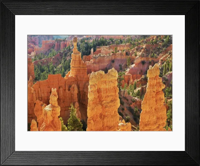 Framed Print : Erosion landscape in Bryce Canyon at Fairyland Point - USA, Utah, Garfield, Bryce Canyon