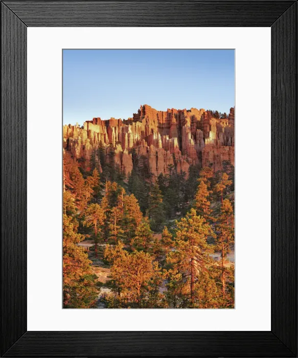 Framed Print : Erosion landscape in Bryce Canyon at Peekaboo Trail - USA, Utah, Garfield, Bryce Canyon Framed Print : Erosion landscape in Bryce Canyon at Peekaboo Trail - USA, Utah, Garfield, Bryce Canyon