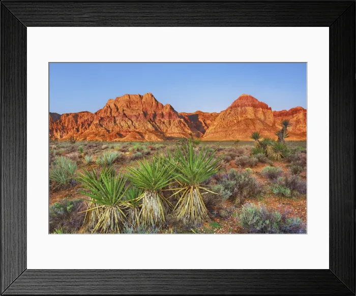 Framed Print : Erosion landscape with yuccas in Red Rock Canyon - USA, Nevada, Clark Framed Print : Erosion landscape with yuccas in Red Rock Canyon - USA, Nevada, Clark