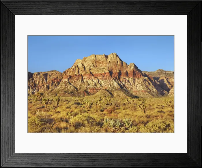 Framed Print : Erosion landscape in Red Rock Canyon - USA, Nevada, Clark Framed Print : Erosion landscape in Red Rock Canyon - USA, Nevada, Clark