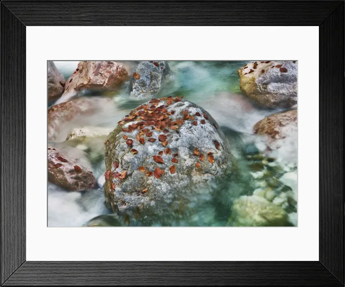 Framed Print : Mountain brook and rocks with autumn leaves - Austria, Carinthia, Hermagor Framed Print : Mountain brook and rocks with autumn leaves - Austria, Carinthia, Hermagor