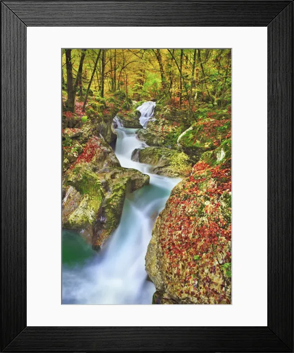 Framed Print : Mountain brook with waterfall in beech forest - Slovenia, Primorska, Soca, Lepena Framed Print : Mountain brook with waterfall in beech forest - Slovenia, Primorska, Soca, Lepena