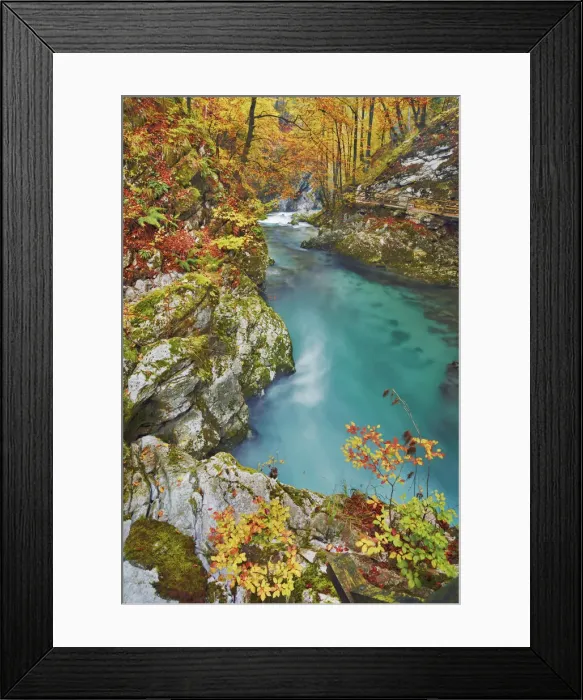 Framed Print : Beech forest in autumn colours at mountain brook - Slovenia, Gorenjska, Bled