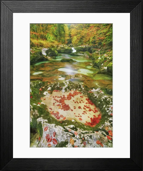Framed Print : Erosion landscape in brook in beech forest in autumn colours - Slovenia, Gorenjska Framed Print : Erosion landscape in brook in beech forest in autumn colours - Slovenia, Gorenjska