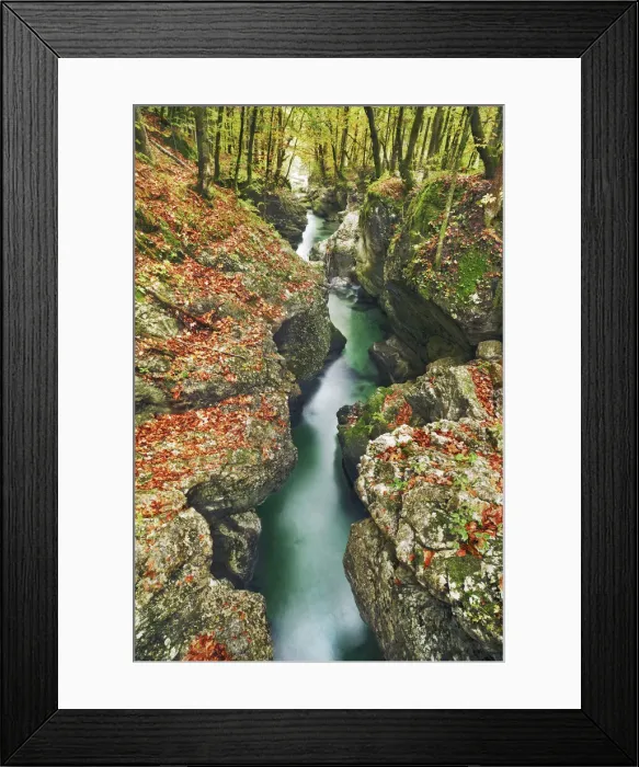 Framed Print : Brook gorge and beech leaves in autumn - Slovenia, Gorenjska, Bohinjsko Jezero Framed Print : Brook gorge and beech leaves in autumn - Slovenia, Gorenjska, Bohinjsko Jezero