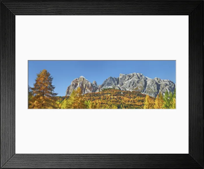 Framed Print : Mountain impression autumnal larch forest at Tofana de Rozes - Italy, Veneto, Belluno
